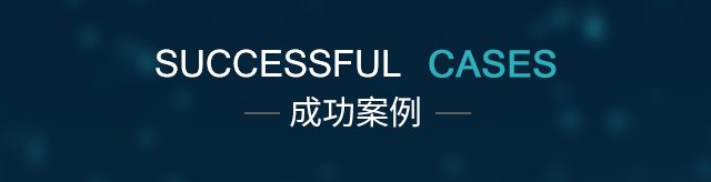 网站案例展示