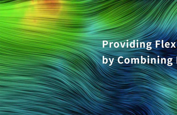 查看光流软件案例